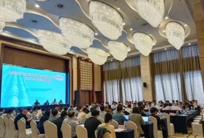 共研標準新篇！德創環保參與全國化標委催化劑分技術委員會2025年標準審查工作會議